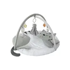 CARESTINO - Gimnasio Didáctico Gatito