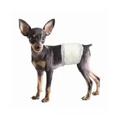 GENERICO - Pañales desechables para mascotas perro macho talla S