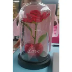 GENERICO - SAN VALENTIN ROSA ENCAPSULADA