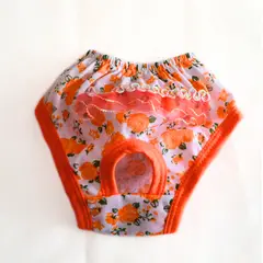 GENERICO - Calzon o Truza de Celo para Mascotas Talla 2 - Naranja