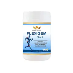 GENERICO - FLEXIGEM 330G COLÁGENO,GLUCOSAMINA, VITAMINA D Y CALCIO