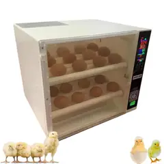 GENERICO - Incubadora De 60 Huevos Tipo Microondas Dual 220V/12V