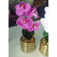 GENERICO - Orquídea Fucsia con Base Dorada