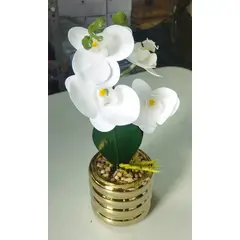 GENERICO - Orquídea Blanca con Base Dorada