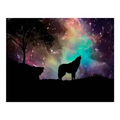 MAKA - DIAMOND PAINTING HOWL AT NIGHT 40X50 CM