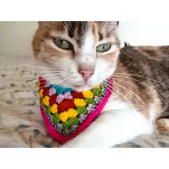 GENERICO - Cuello a Crochet para Gatos - Talla M - Multicolor