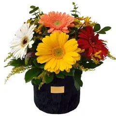 GREEN HOUSE FLORERIA - Arreglo de Flores Colección Glam Gerberas