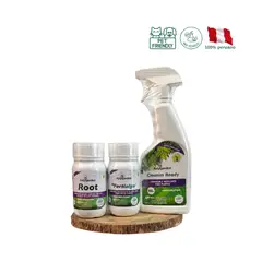 GREEN SUPPLY - Pack Orquídeas con Pocas Raíces