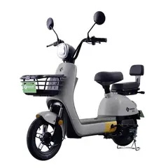 GREENLINE - Moto Eléctrica Litio Extraíble Premium Aro 10 VMP L2 GRIS