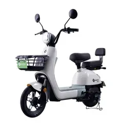 GREENLINE - Moto Eléctrica Litio Extraíble Premium Aro 10 VMP L2 BLANCO