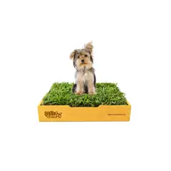 GENERICO - Sanitario de Pasto Natural para Mascotas - Talla S Premium