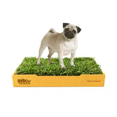 GENERICO - Sanitario de Pasto Natural para Mascotas - Talla M Premium