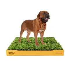 GENERICO - Sanitario de Pasto Natural para Mascotas - Talla XL Premium