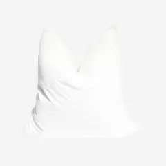 GENERICO - RELLENO DE PLUMAS DE GANSO DE 50 x 50 cm