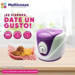 BOSKKO - Freidora De Alto Poder De 1200w - Bossko