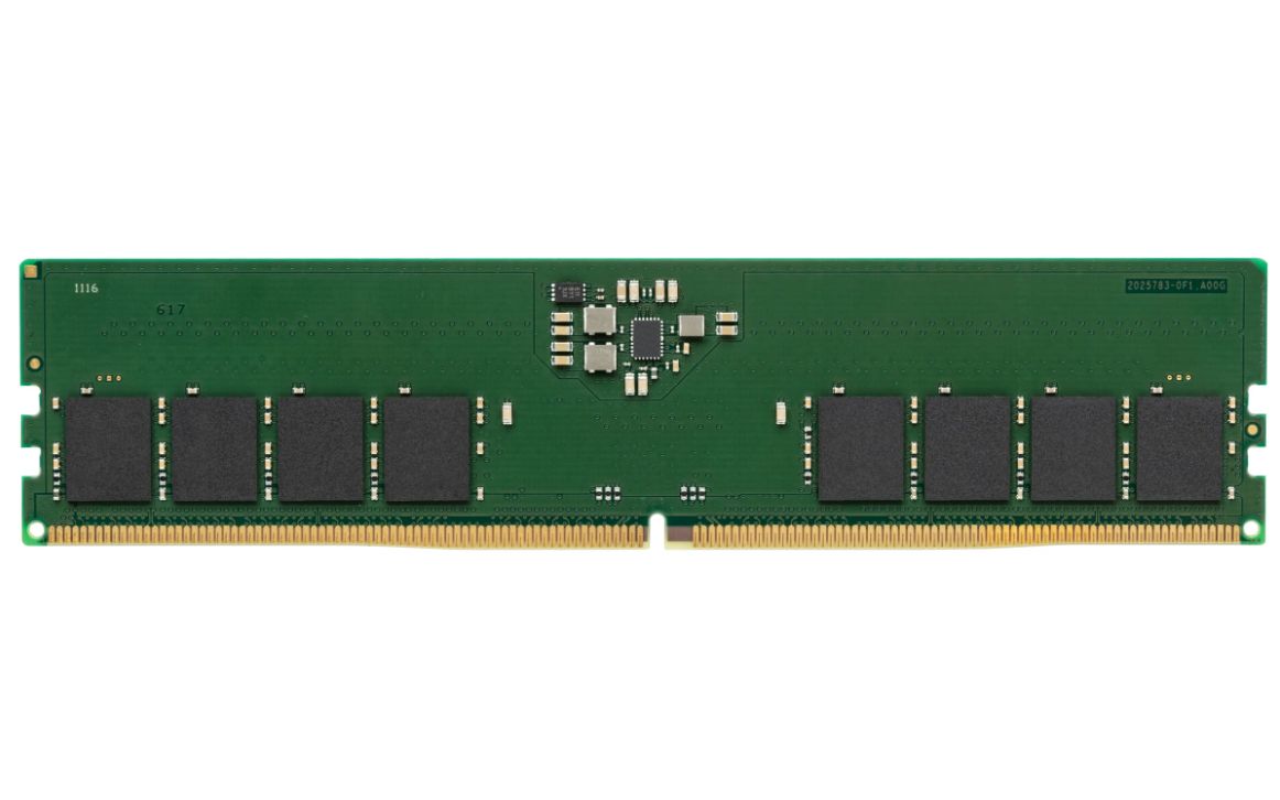 Memoria RAM KCP556US6-8 8GB DIMM 5600MHz DDR5
