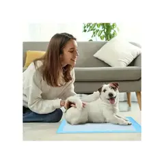 GENERICO - PAÑAL DESCARTABLE DE ENTRENAMIENTO PARA MASCOTA TALLA L