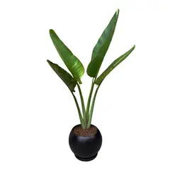 GENERICO - PALMERA VIAJERA EN MACETA ESFERA NEGRO