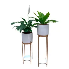 GENERICO - COMBO DE HELECHO ALEMAN Y ESPATIFILIO EN MACETA Y PEDESTAL DE FIERRO