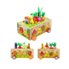 GENERICO - Carro Educativo De Pesca Y Granja Magnética De Madera