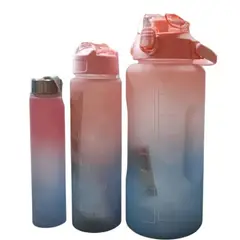 GENERICO - Set de 3 tomatodos motivacional trio deportivo+ stickers rosado