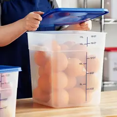 TIGERBEE - 18 Qt Contenedor Hermético de Polipropileno para Alimentos, Tapa Azul, Forma Cuadrado