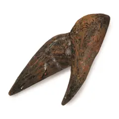 COLLECTA - Figura Réplica Diente Triceratops