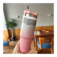 GENERICO - Vaso Tomatodo Botella Termico Escarchada 890ML Rosado