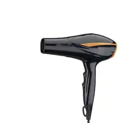 OEM - Secadora de cabello profesional con termostato inteligente 3000W