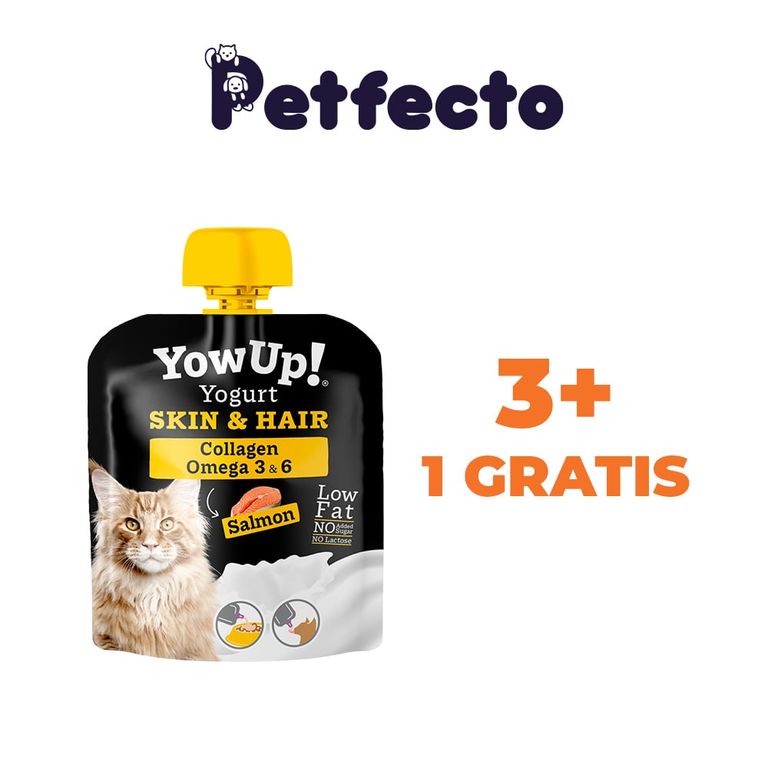 PACK YOGURT SKIN & HAIR PARA GATOS 85 gr.