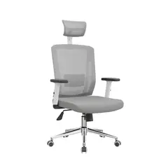 OFIDEAS - Silla De Oficina Giratoria Ergonómica Delphi II Presidente Gris