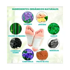 OEM - 1O PARCHE KINOKI DESINTOXICANTE