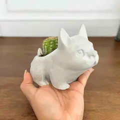 CONKRETE - Maceta de Cemento Perro Bulldog Francés + Planta Suculenta aleatoria