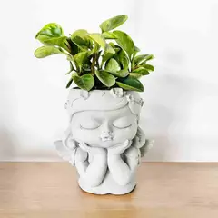 CONKRETE - Maceta de Cemento Hada Flora + Planta Suculenta modelo aleatorio