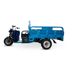 GENERICO - CARGUERO ELECTRICO 500-600KG ASTURDY