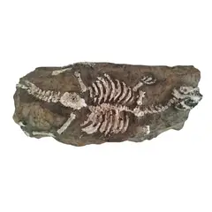 GENERICO - Adorno para acuarios rupestre para peceras y acuarios