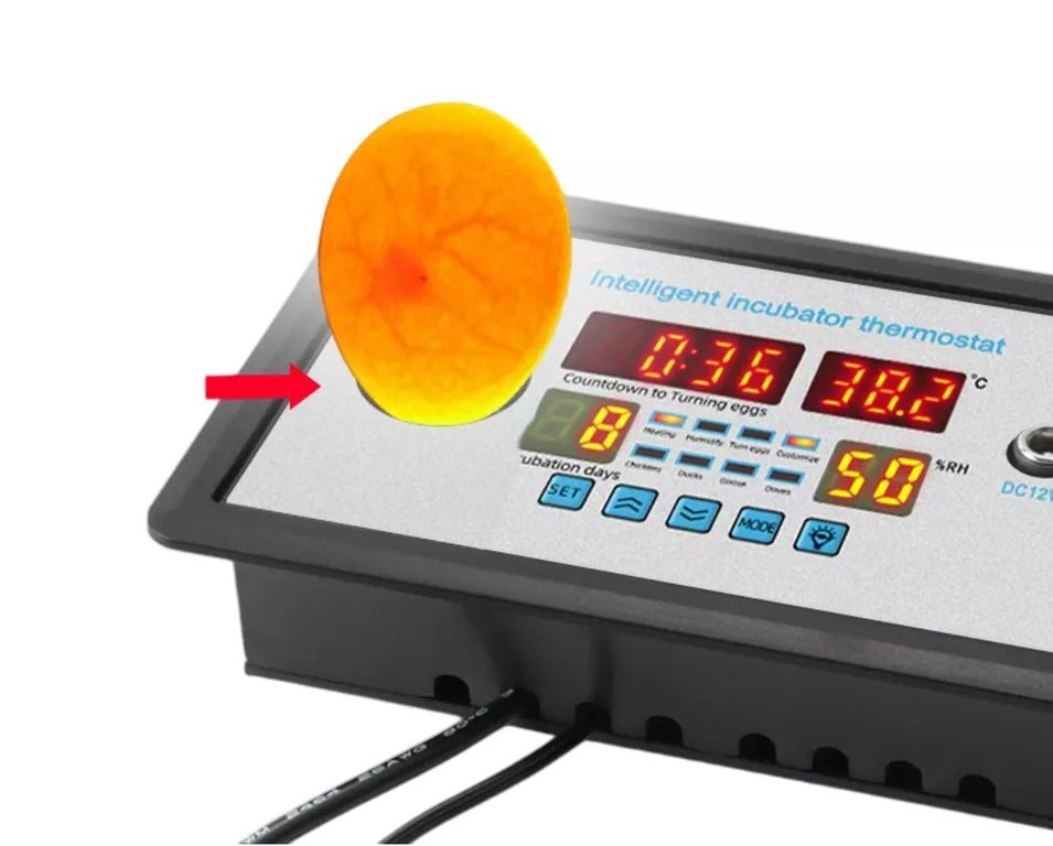 Termostato Digital ZFX-W9002 Con Ovoscopio Integrado