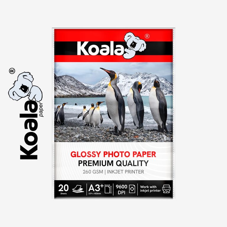 Papel Fotográfico A3 Plus 260g x 20 hojas