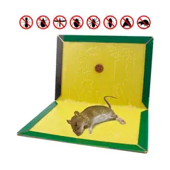 GENERICO - Trampa Pega Rata 16x22cm