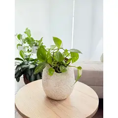 MAP DESIGN HOME - Jarron Decorativo Curved Organic 19x24 cm