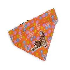 IDEAS PERFECTAS - Bandana Anaranjado Primaveral Kitten