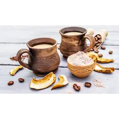 GENERICO - VITA CAFE Ganoderma Reishi x 20 sobres