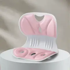 GENERICO - CORRECTOR POSTURA LUMBAR PARA SILLA DE ESCRITORIO TALLA M