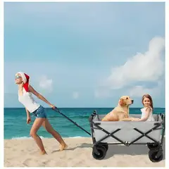 GENERICO - Carrito de Transporte Plegable para Compras con Sombrilla