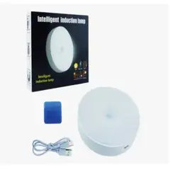 GENERICO - 3 Lampara Led Con Sensor Movimiento Recargable
