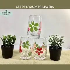 GENERICO - SET DE 6 VASOS PRIMAVERA