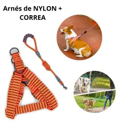 GENERICO - ARNÉS CON CORREA C-MANGO ACOLCHADO P-PERROS NARANJA