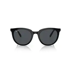 RAY BAN - Lentes De Sol Panto Full Grey Ray-ban RB4383L60187