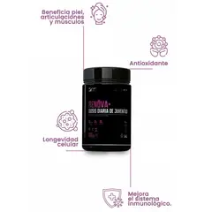 GENERICO - COLAGENO RENOVA + CON PEPTIDOS ACTIVOS POTE 315 GR