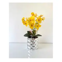 GENERICO - ORQUIDEAS AMARILLAS BASE PLATA CROMADO 45X20